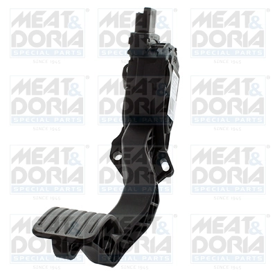 Accelerator Pedal Unit